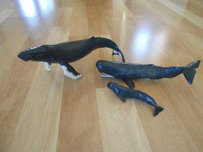 1991 Safari Rubber Humpback Whale 1992 Sperm & Calf Monterey Bay Aquarium