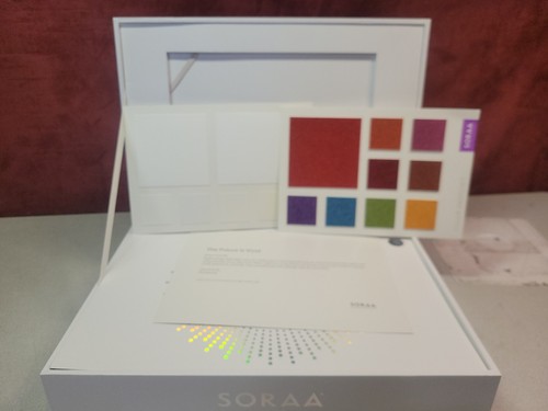 Soraa Vivid Demonstration Kit w/ 2 Torches & Various Lenses By Ecosense - Picture 3 of 7
