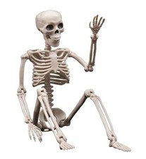 Halloween Decorations Outdoor Skeletons - 16" Posable Plastic Skeleton - White