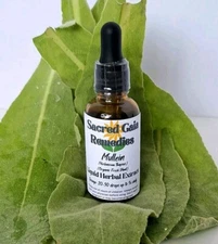 Mullein Tincture/Extract, Respiratory Health, Phlegm Relief, Lungs