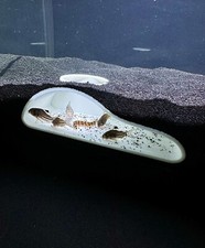 Bottom Dweller Underground Slope Cave Aquarium Aquascape Hideout Cave Fish Tank