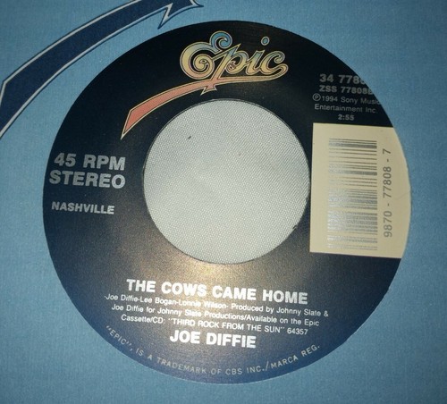 JOE DIFFIE - SO HELP ME GIRL / THE COWS CAME HOME 7" 45 RPM US 1994 New - Picture 5 of 6