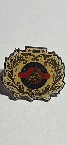 BPOE Elks Pin New York State Elks Association 500 Cerebral Palsy Major Projects - Picture 2 of 5