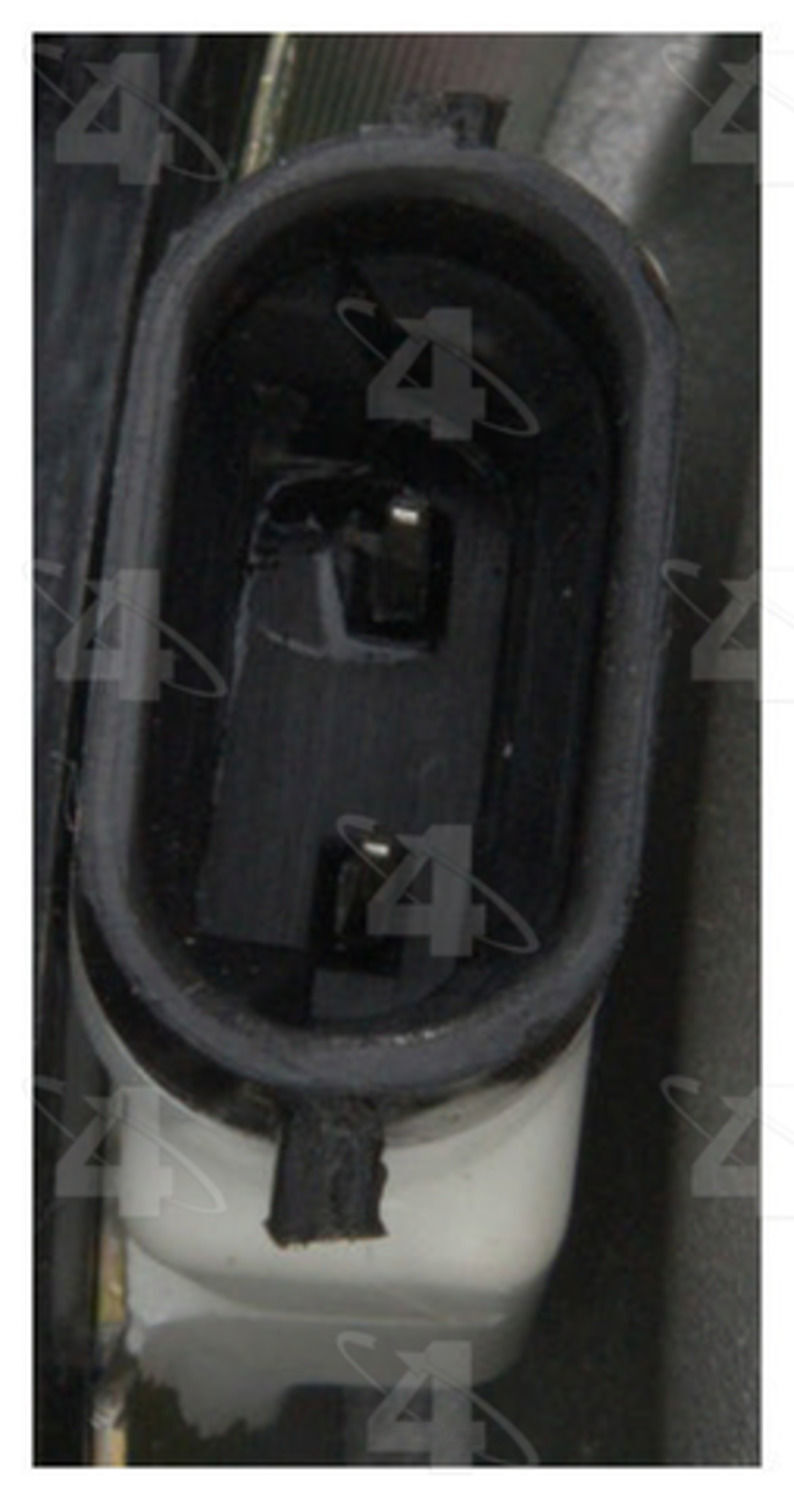 Picture 4