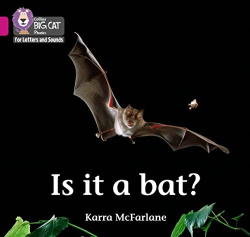 Is it a Bat?: Band 01B/Pink B (Collins Big Cat Phonics for Letters and Sounds)