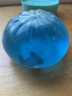 Crazy Fun RMS Super Rare Misprinted Shark Dumpling - Used — photo 3