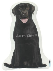 dark chocolate labrador