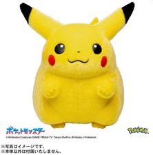 PSL US Seller TAKARA TOMY Pokémon 30th Anniv...
