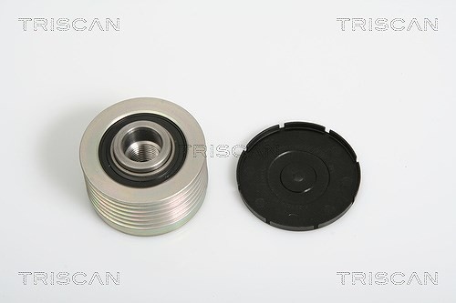 Triscan Generatorfreilauf U.A. FüR CitroËN, Fiat, Ford, Lancia, Mazda, Peugeot-image