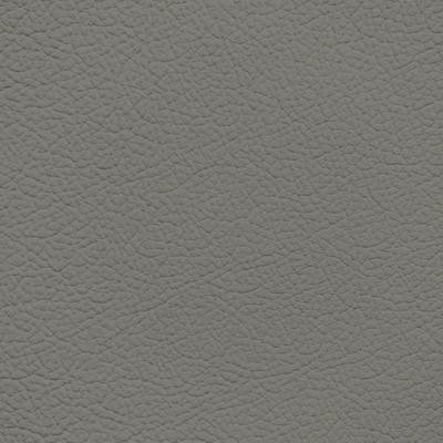 Volvo Silver Granite Leather Dye