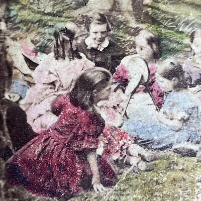 Antique c1860 French Picnic In Ancient Forest Stereoview TREADWELL PC827
