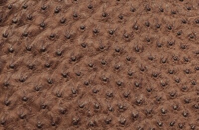  Ostrich Leather Hide, Rum Brown Maddog (%100 Natural Genuine Hide)  