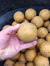 Very Worn 4 Dozen= 48 Count Used 9" Dimpled Balls Machine Batting Cage Baseballs