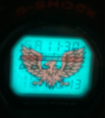 G-SHOCK DW-6695 Y文字 Vintage Casio G-Shock DW-6695 Foxfire Black Digital Battery