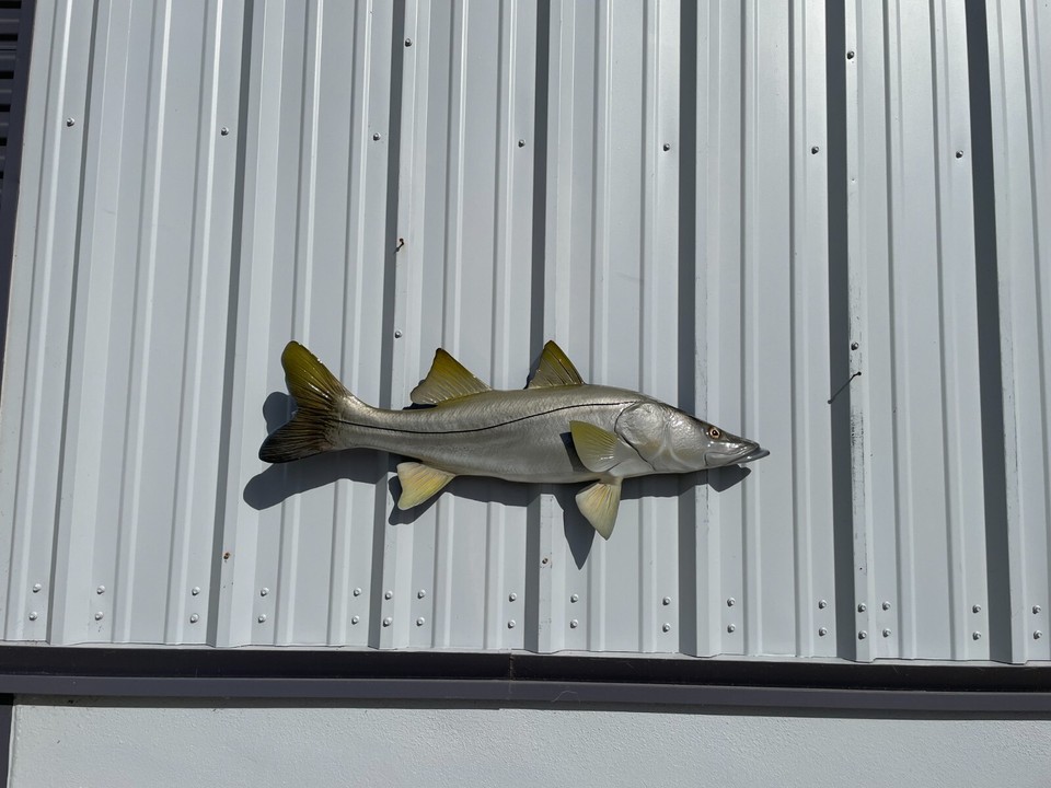39" Snook Half Mount Fish Replica Quick Production eBay