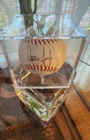 Aaron Judge Autographed Signed Baseball W/COA