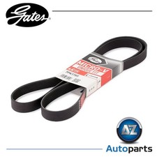 Image of 7 Rib V-Ribbed Belt 7PK1785 Gates 04301-RBD-305 8200833554 8200127693