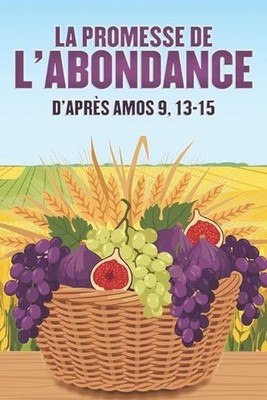 La promesse de l'abondance: D'apr?s Amos 9, 13-15 by Sherry Lee (French) Paperba