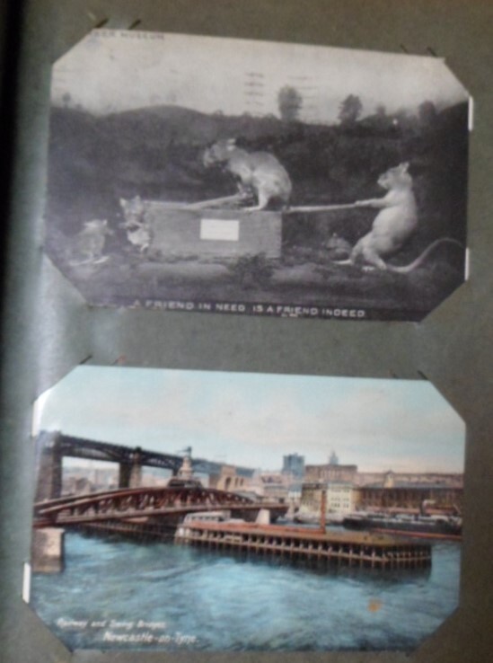 Picture 18 of 22