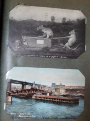 VINTAGE POSTCARD ALBUM WITH APPROX 204 POSTCARDS PRE 1940'S MOSTLY BRITISH - Picture 18 of 22