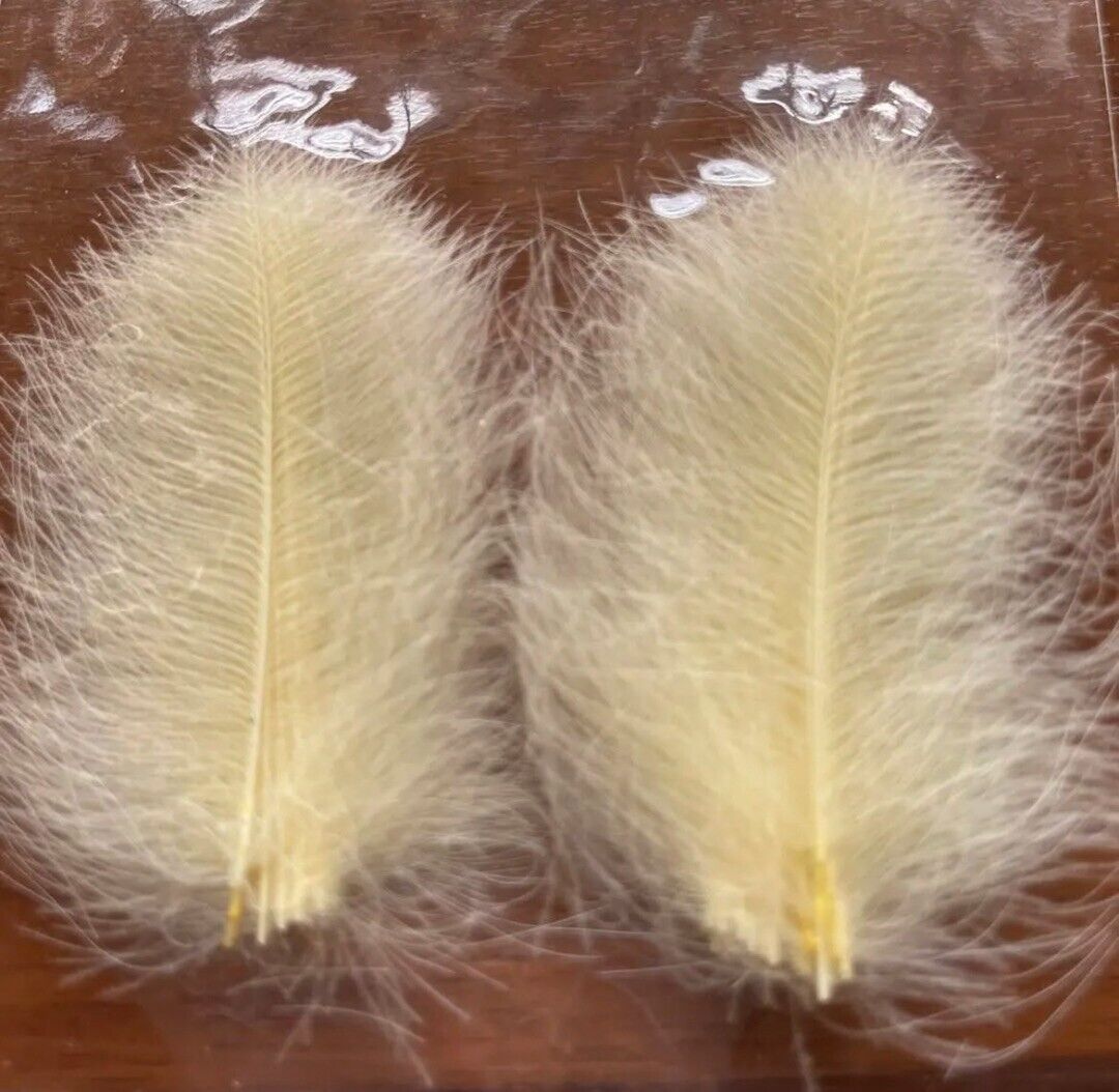 100Packs】Mallard1 CDC Feathers Canary 50 plumes Fly Fishing 100Packs】Mallard1 CDC Feathers Canary 50 plumes Fly Fishing