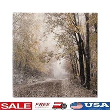 Stretched Canvas Wall Art Nature Landscape Artwork Ready to Hang Home Decor New