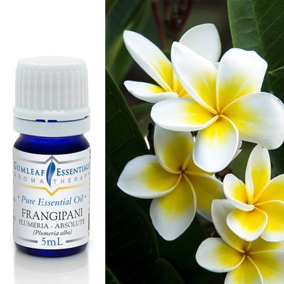 Gumleaf Essentials - Frangipani Plumeria Absolute - Essential Oil - 5 mL