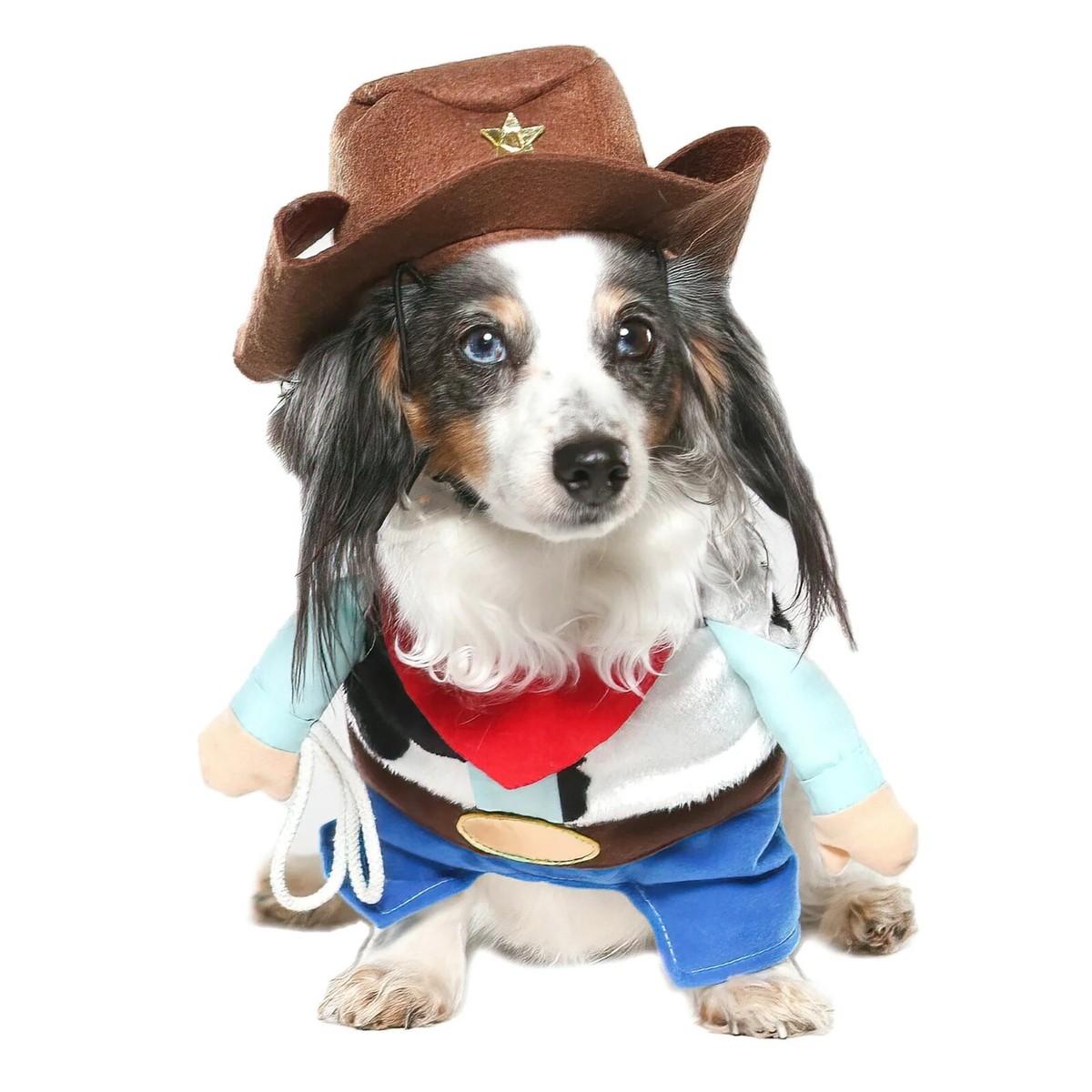 Vibrant Life Cowboy Halloween Dog Or Cat Costume XS #3771 UK