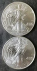 Two 2014 $1 American Silver Eagle Dollars