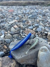GEECRACK Spiron 2.8/4.8 inch Soft Lure – Multiple Colors – Japan Bass Fishing