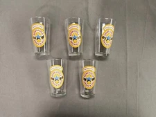 New Castle Brown Ale Beer Drinking Glasses Collector Series Mug Glasses Set of 5