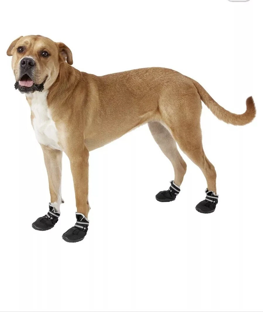 Frisco dog boots sale