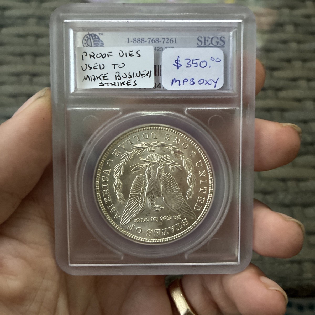 1921 Zerbe Reverse Die Proof-Like MS Morgan SEGS - RARE - Unknown