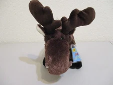 Webkinz Moose -HM375 New. Sealed, unused code. "Bigger-than-life" appeal.