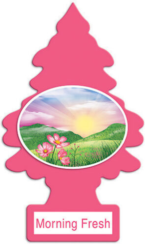Little Trees Hanging Air Freshener Choose Scent Car Truck RV Home Office 6/10/24 - Picture 6 of 41