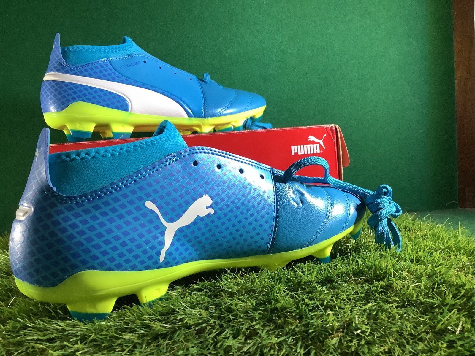 puma one 17.3 fg