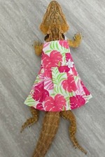Bearded dragon Dress