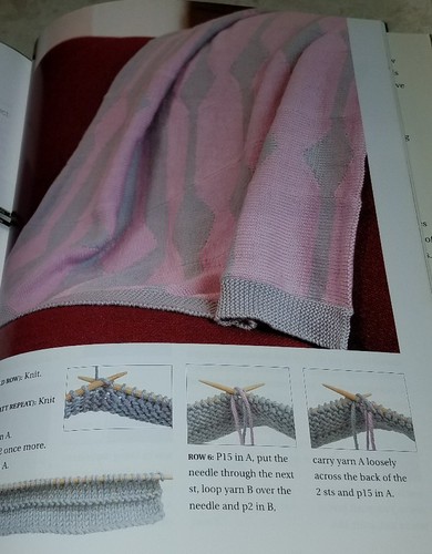 E9 FIRST KNITS: 17 SIMPLE PROJECTS FOR BEGINNING KNITTERS 2005 - Picture 11 of 12