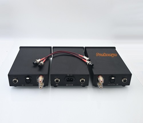 300W+300W TPA3255 Class D Split Type Digital Power Amplifier With Power Supply - Picture 3 of 5