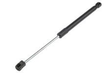 Verin de hayon / de capot BMW X6