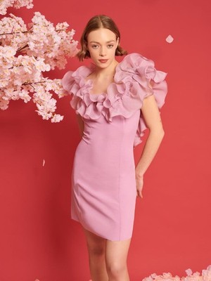 Sister Jane Dream Blooming Ruffles Mini Dress Size M