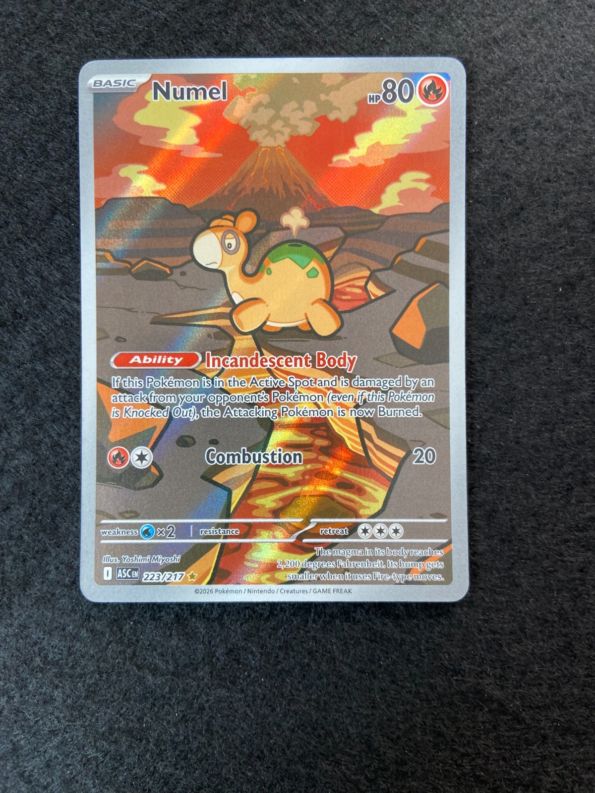 Numel 223/217 Me: Ascended Heroes IR Holo Pokemon NM B1