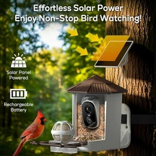 Bird Feeder with Camera-Smart Bird Feeders for Solar Powered Birdhouse