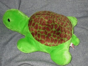 ty tortuga
