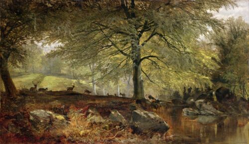Joseph Adam : « Cerf dans un bois » (années 1800) — Impression Beaux-Arts Giclée - Photo 1/7