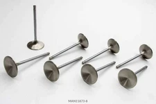 Manley for Ford 351C R/M 1.710in Exhaust Valves 11873-8