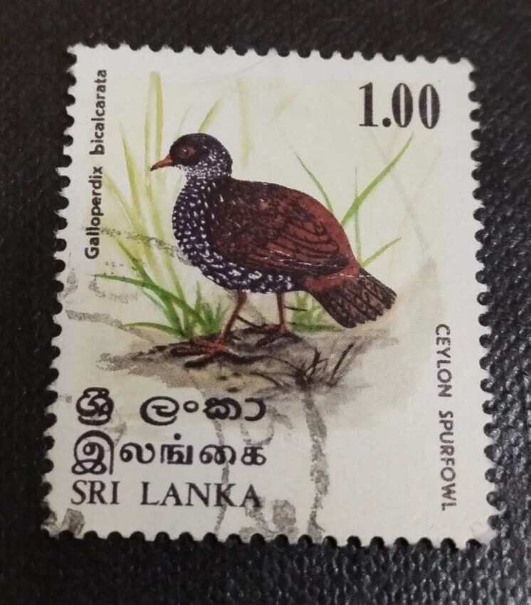 8 x 1979  Sri Lanka Birds / Spurfowl 1r Stamp Used #SG687 - Image 4 of 4