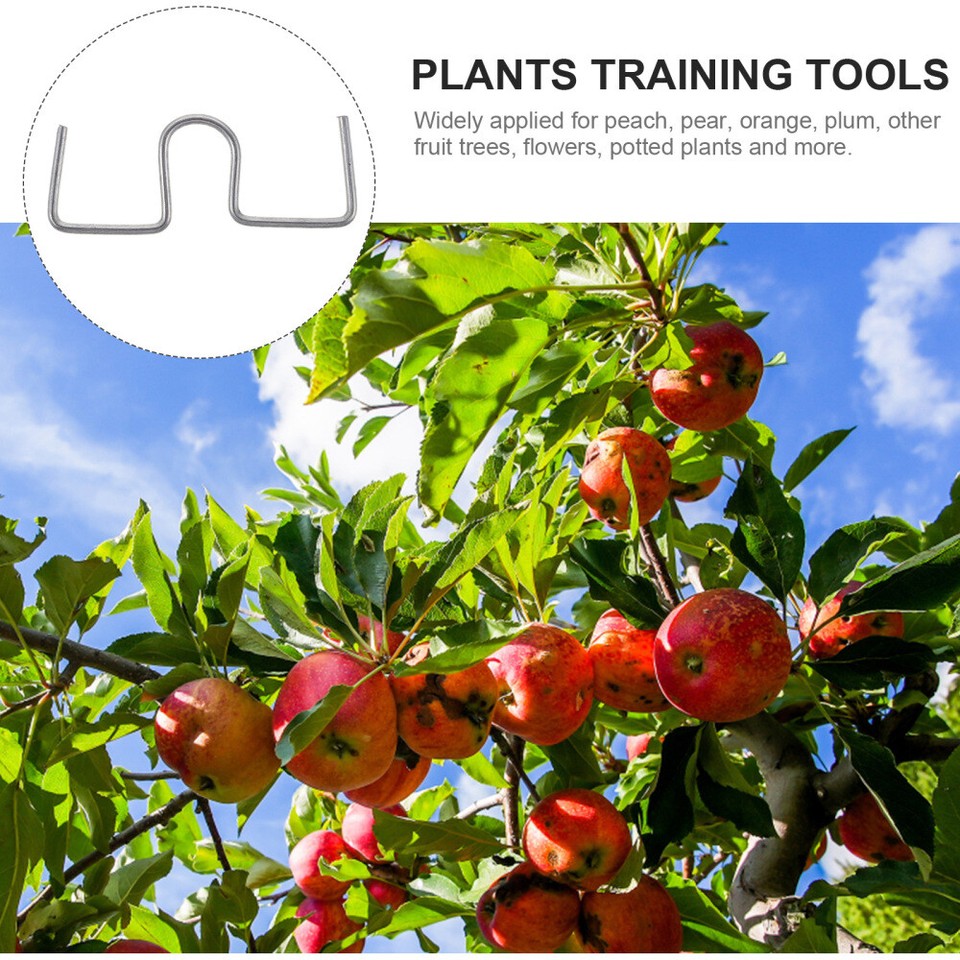 Clip for Apple Tree Plants Fruit Branch Shaper Reorientation Tool