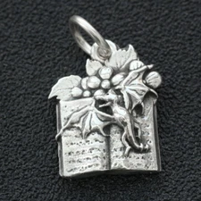 Magic Fantasy Book Pendant Charm In 925 Sterling Silver Adventure Dragon Flower