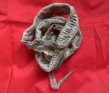 Img Anery 66% Het Blood Boa Imperator Shed